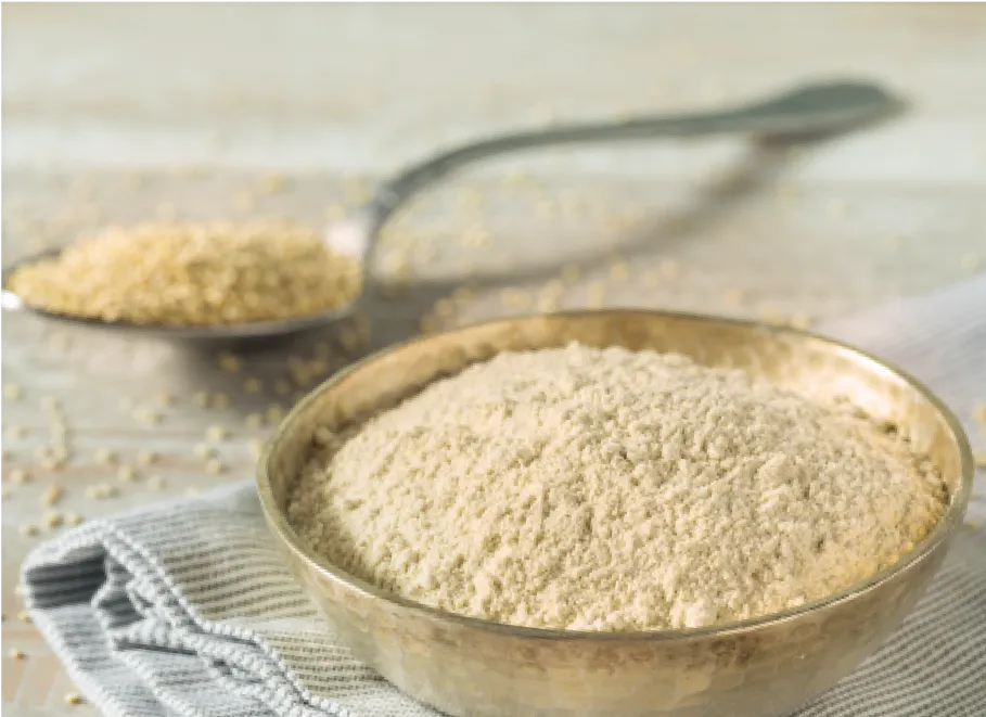 Monk Fruit Powder